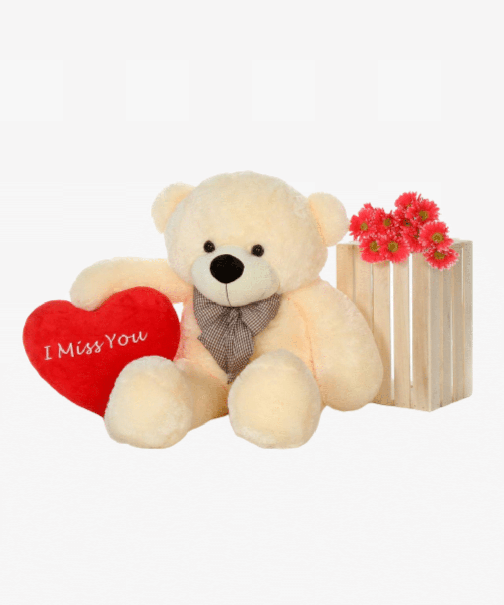 Happy Birthday Gift…Lovable Celebration Bear | Cozy Gift